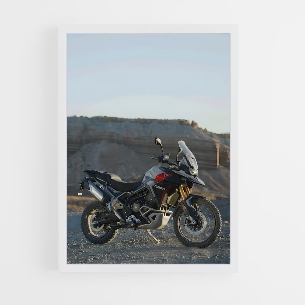 Poster Tigre Majestueux 900 – affiche Triumph (vue 3)